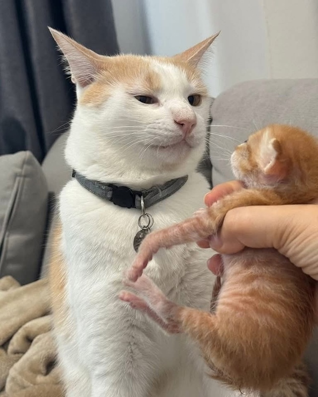 Ты чё мне суёшь, кожаный?
Иди положи где взял!
=»>