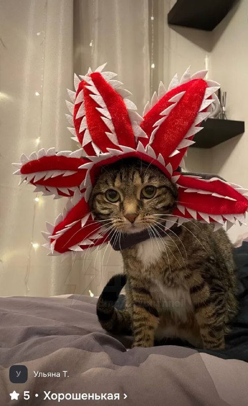 На российских маркетплейсах появилась шапка в виде Демогоргона для домашних питомцев
Теперь шерстян