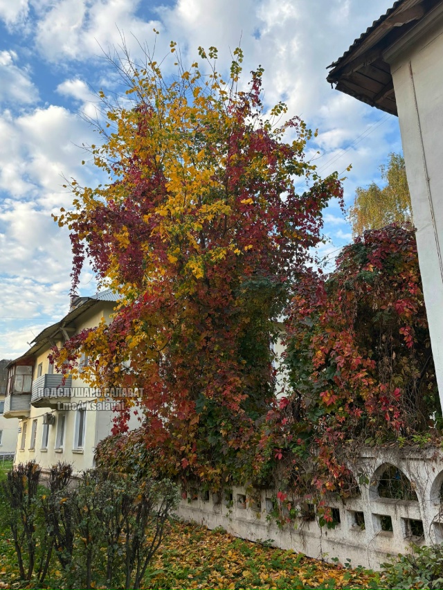 Какое разнообразие красок ??