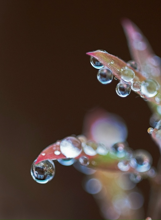 В эти дни стоит унылая, пасмурная погода, небо