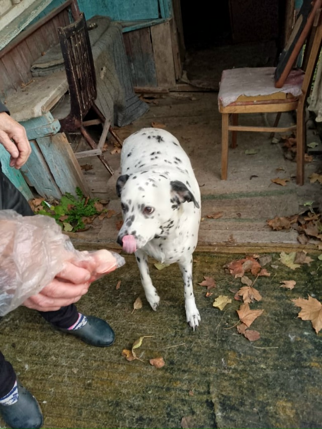 ЛЮДИ! ДОРОГИЕ!🛑⚡Ярославцы!
У нас вселенское горе 😭: ...