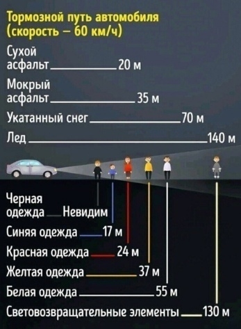 Важно знать каждому водителю и пешеходу!