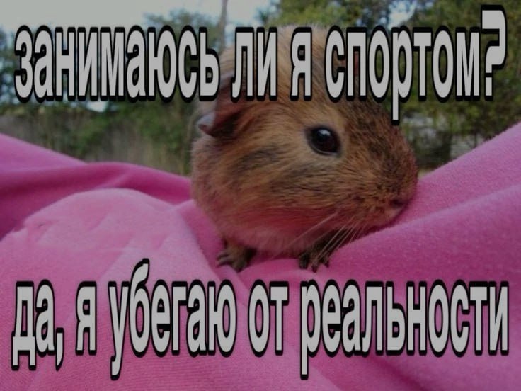 Ночная подборочка
Спать, режим