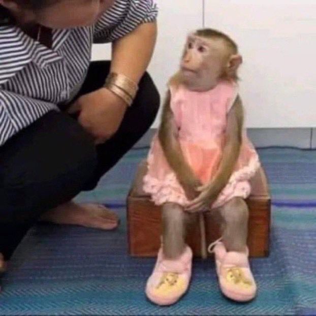 В таком случае, выбор падает на третий вариант.