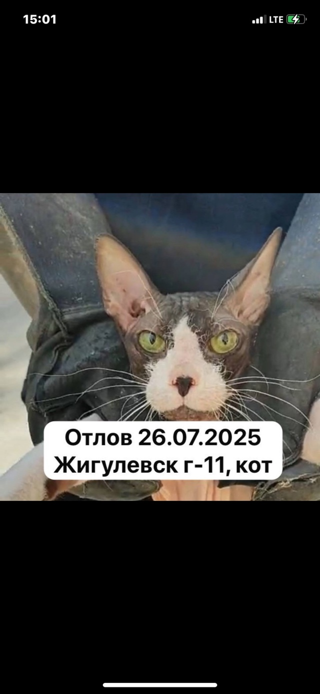 Город Жигулевск! Ваши любимчики в страшном месте- в отл...