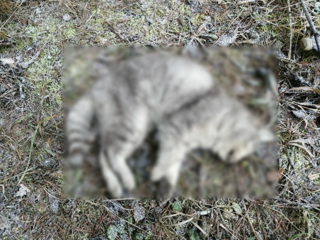 Жители Тарасово и близлежащих деревень, посмотрите че?...