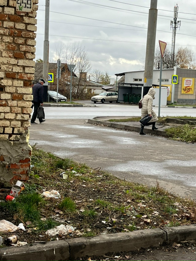 Сенько 8 через дорогу площадка для мусора!!!Но нет кому-?...