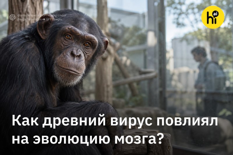 🔍 Древний вирус отключил у шимпанзе ген развития мозга
Несколько миллионов лет назад предки соврем