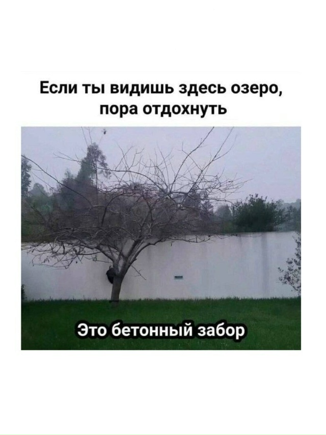 А вы что видите?