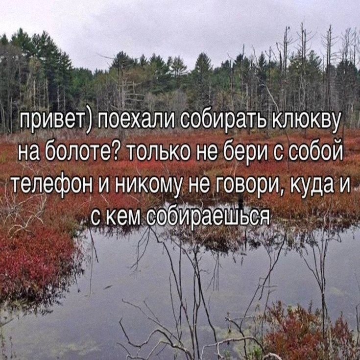 Утренняя подборочка