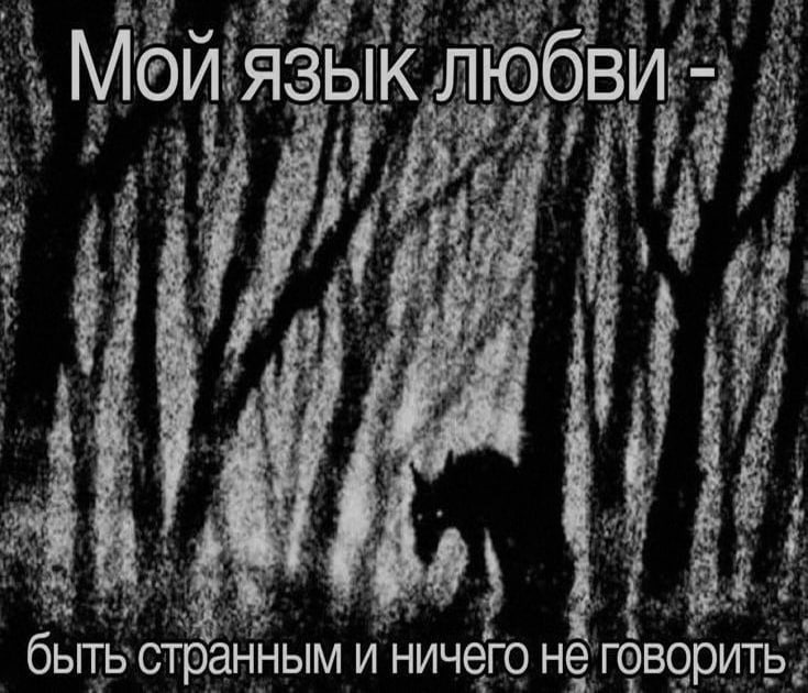 Ночная подборочка
Выходные, не спим