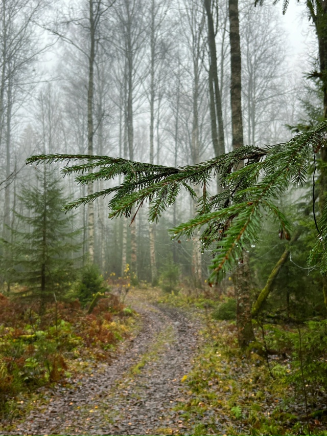 Доброго утра, Никольск❤