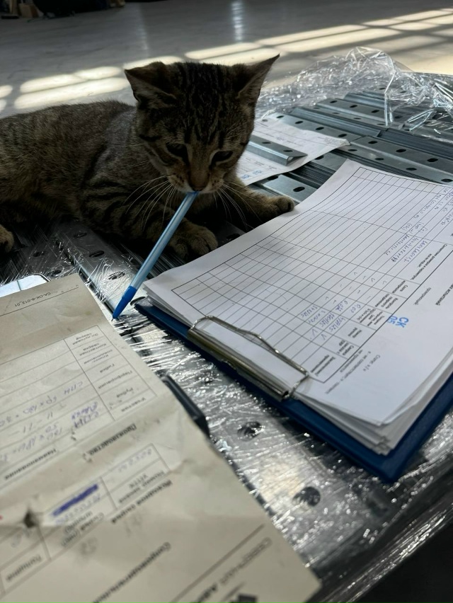 Сегодня Николая Сельдежабрина нахуевертили за недост?...