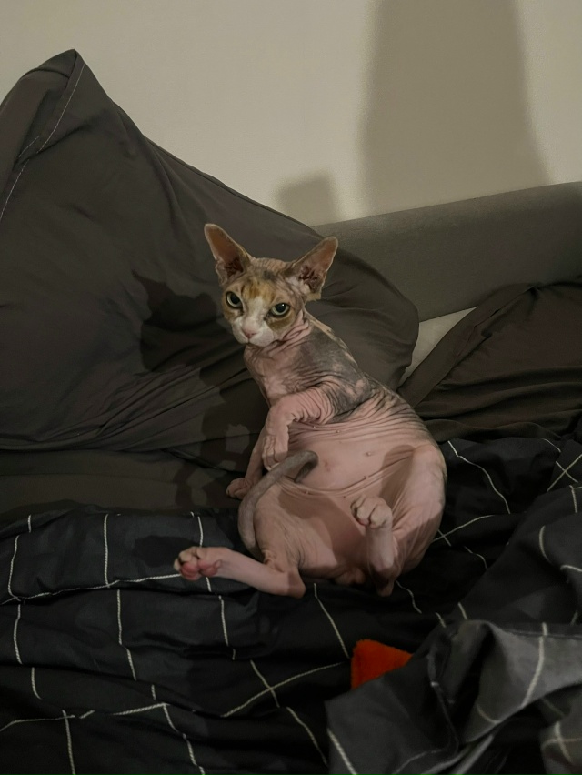 айзе за свои 12 лет довелось побывать в 3 городах, послед...