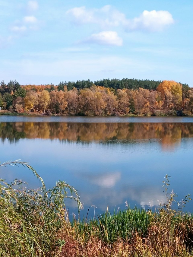 Осенний Спутник