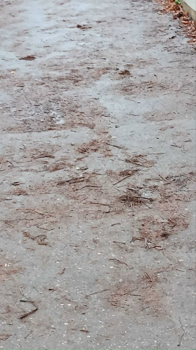 ❗️Жители Коломны жалуются на состояние улицы Малышев...