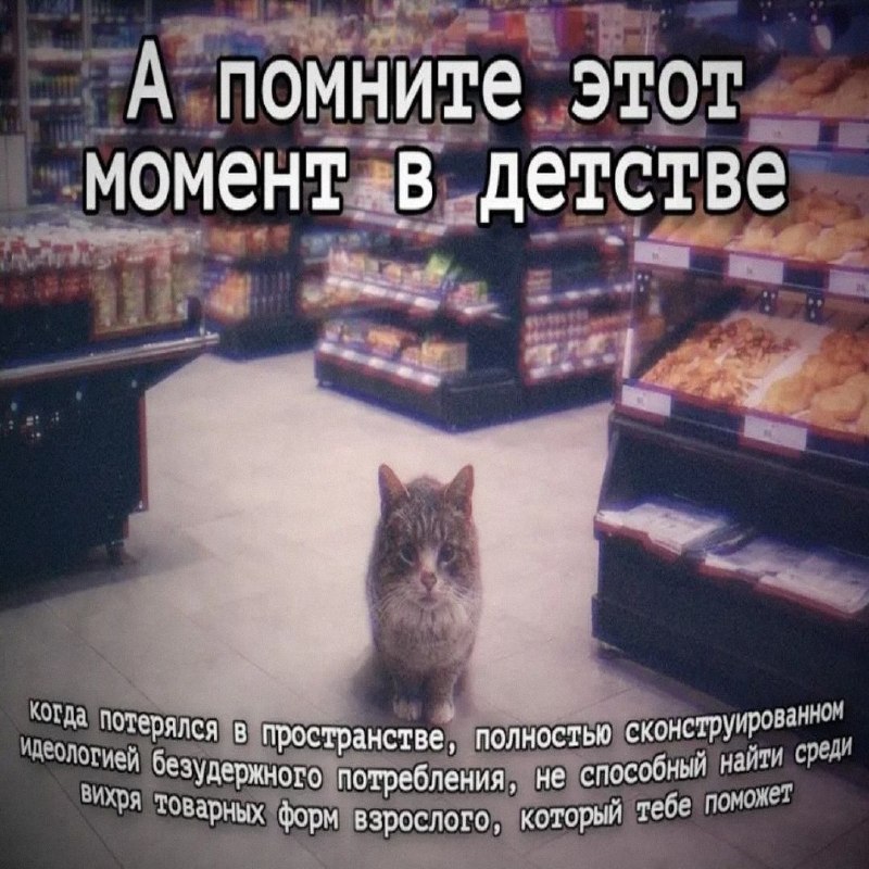 Утренняя подборочка