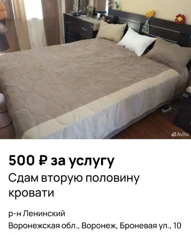 Воронежский хитрец решил убить всех зайцев одним выст?...