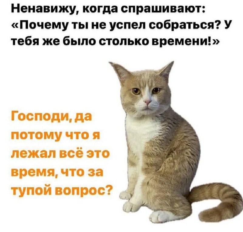 Утренняя подборочка