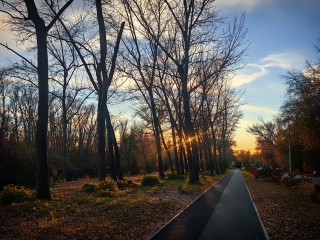 😍 Золотая осень в парке Строителей