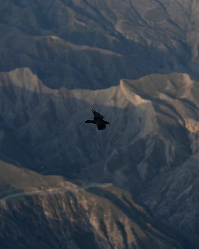 Дагестан🇷🇺