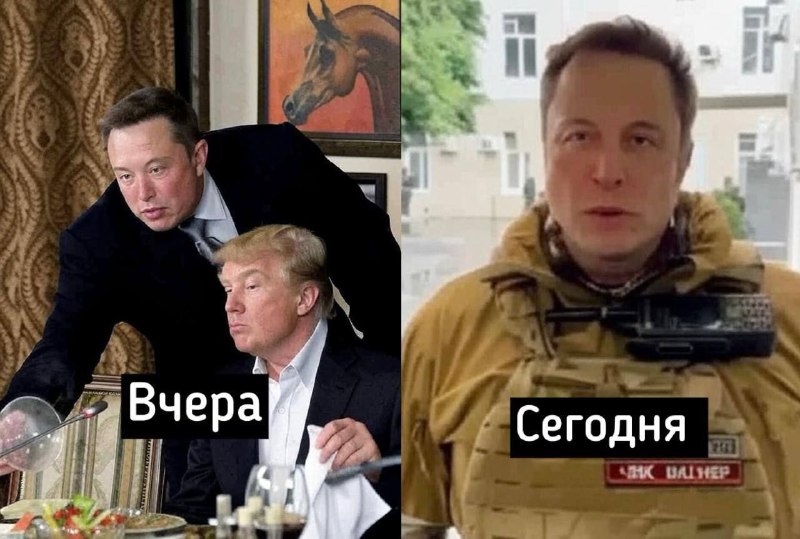 25 тысяч наберет?
@givemetonru