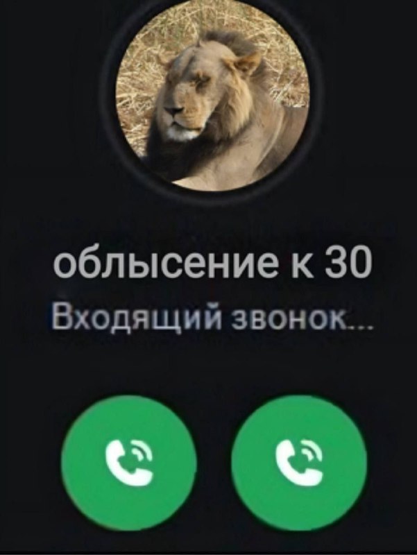 Утренняя подборочка