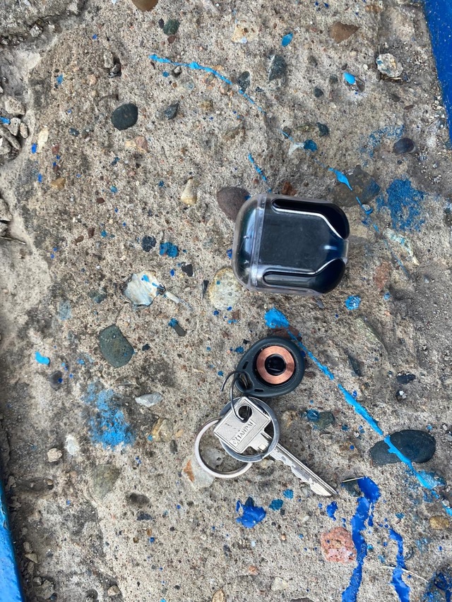 Найдено детьми на Форте 16.07. Звонить 89233171465 Юлия.