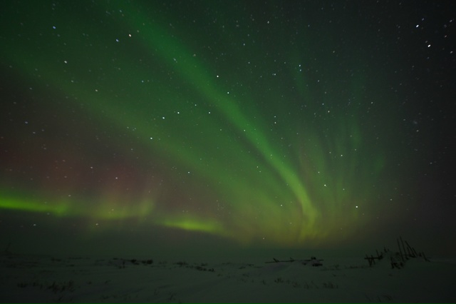 Чудеса, а не фотографии ❤️
Автор: Svetla Baginska