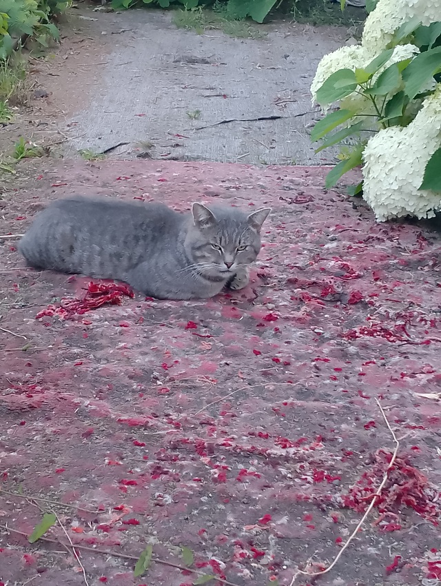 Народ, во дворе 59 дома по Спартаковской уже неделю скит...