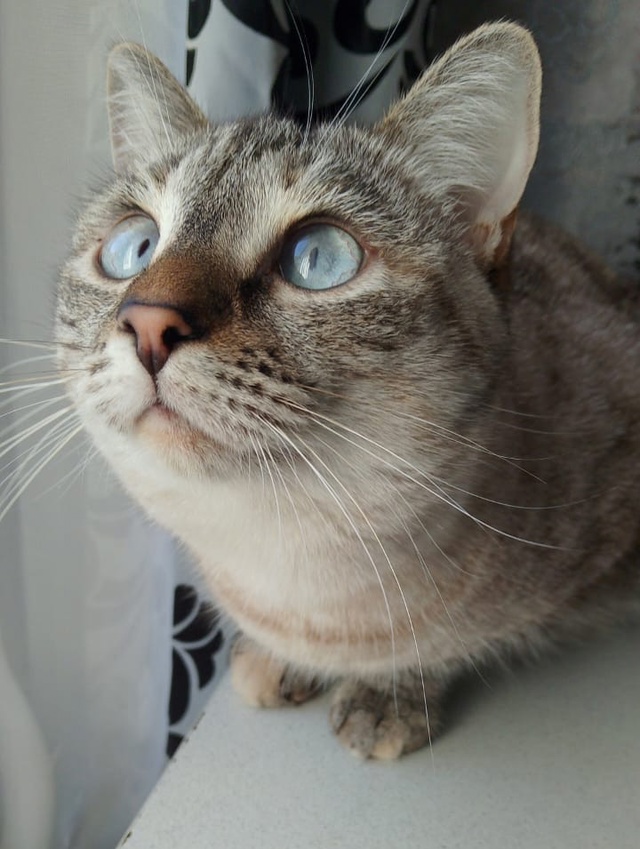Миичка❤