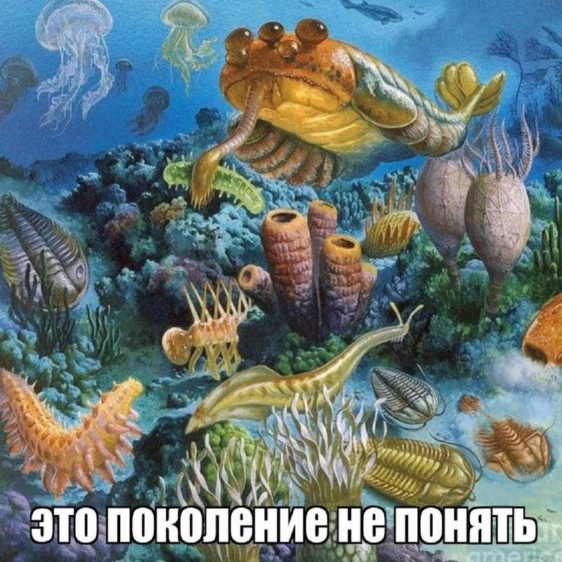 Утренняя подборочка