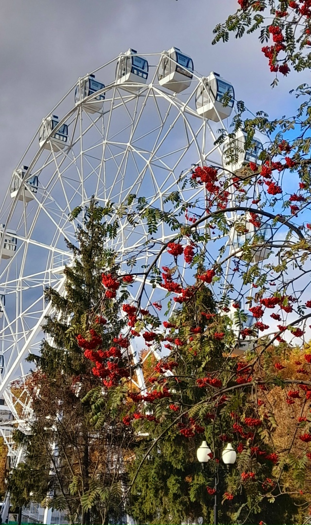 Осенний Рыбинск ❤
📷 Ирина Филина