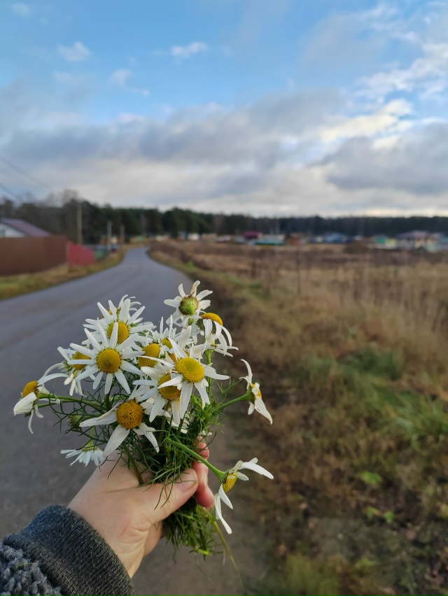 Давно не было фотографий полюбившейся всем рубрики: