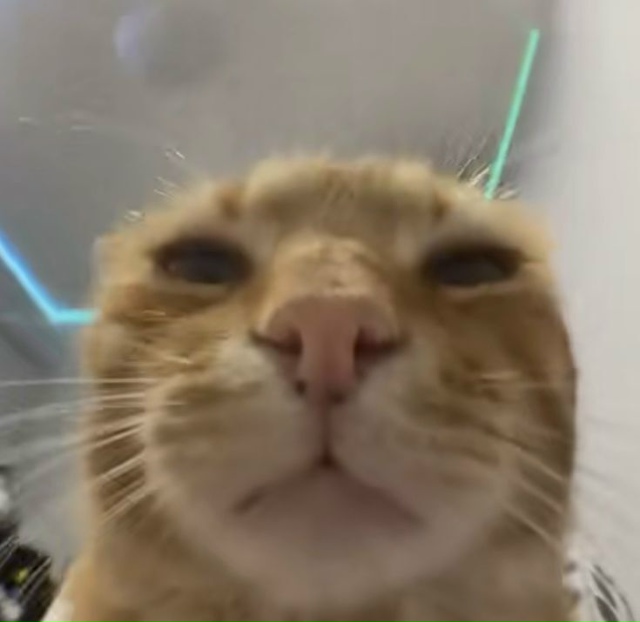 Истинное воплощение нежности