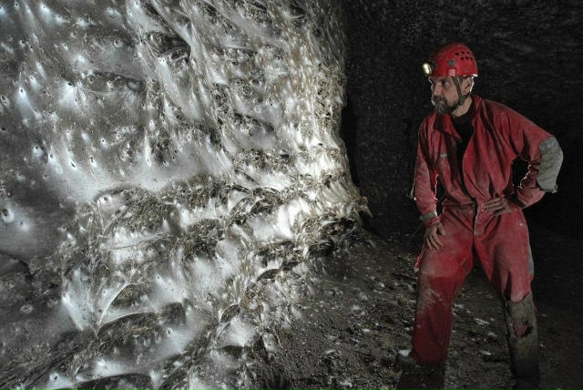 Крупнейшую в мире паутину с населением 111 000 пауков обн?...