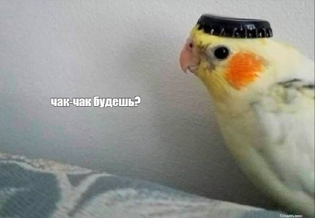 Сегодня отмечается День чак-чака