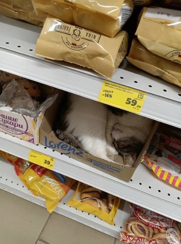 🤤Самую соблазнительную булочку заметили в одном из м?...