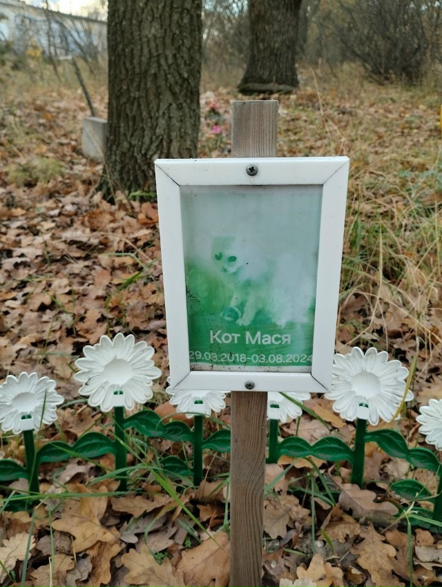 🪦Воронежцы устроили несанкционированное кладбище до...