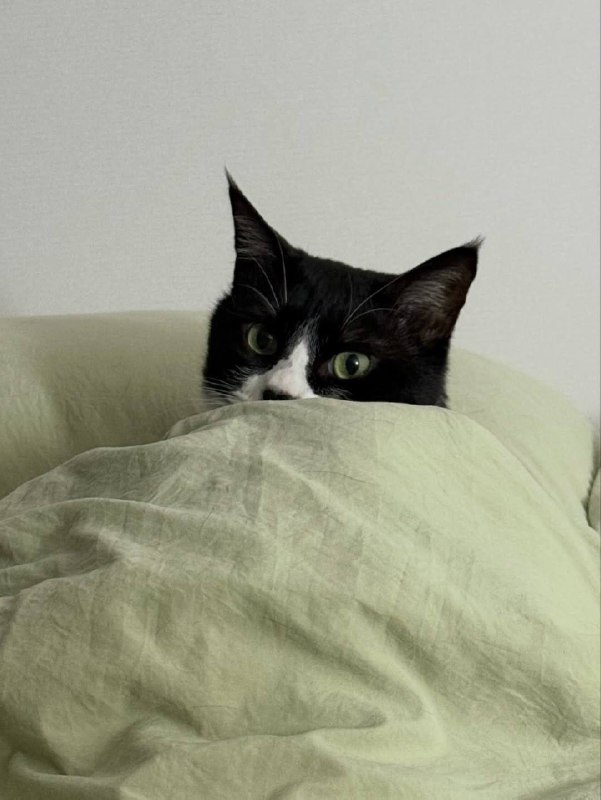 Ну идем уже споть, я же жду тибя в кроватке :3