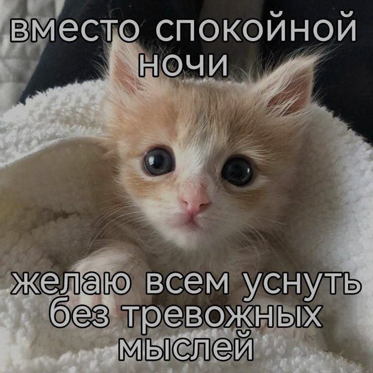Ночная подборочка
Спать, режим