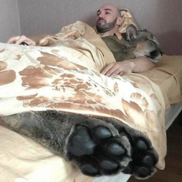 Зaвeли бы тaкoгo кoтикa? 😊
