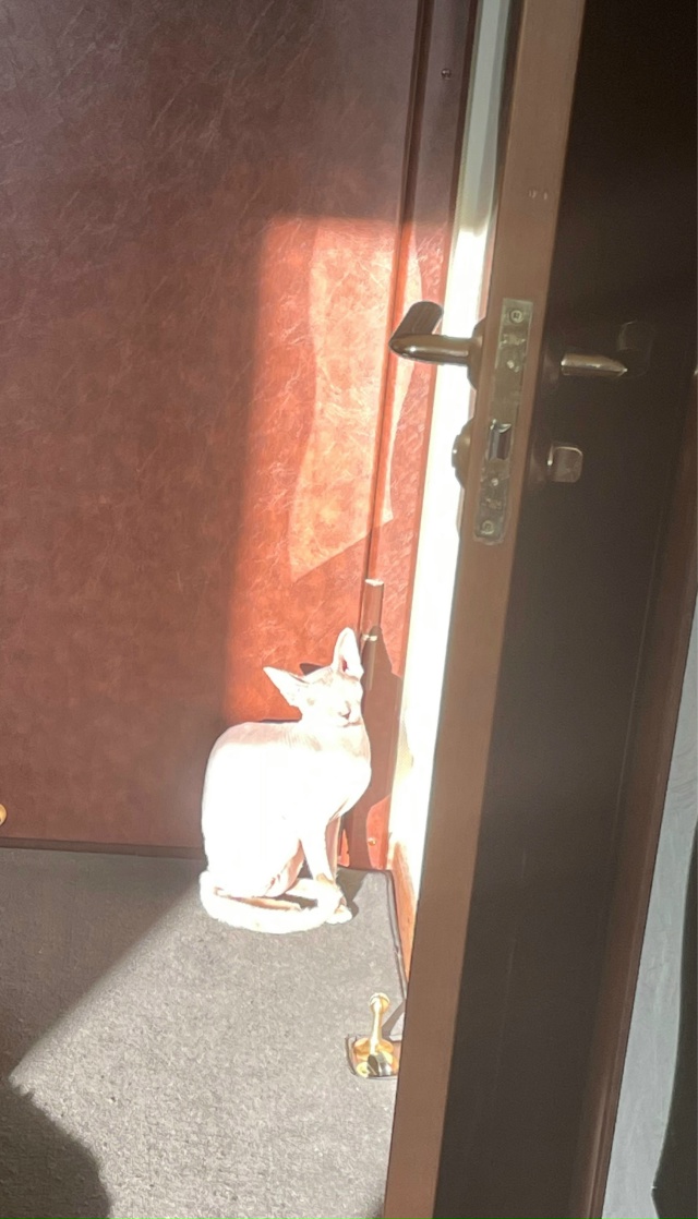 ???