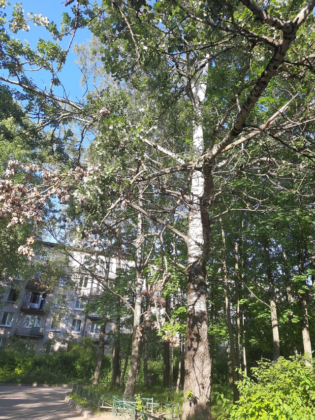 Прошу поддержать мое обращение жителей ул. Быкова и вс?...
