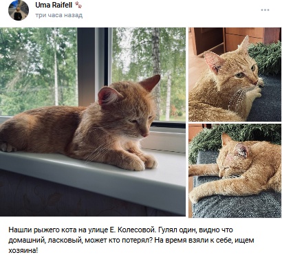 Пост добра. Распространите, пожалуйста.