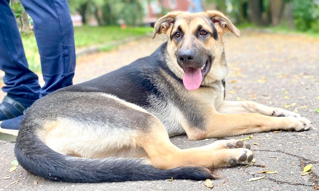 Она правда классная!
Но так никем пока и не замечена.
#М?...