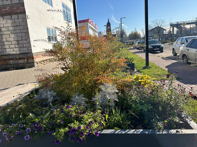 В центре доцветают моменты лета . Спасибо [id790372964|Татья?...