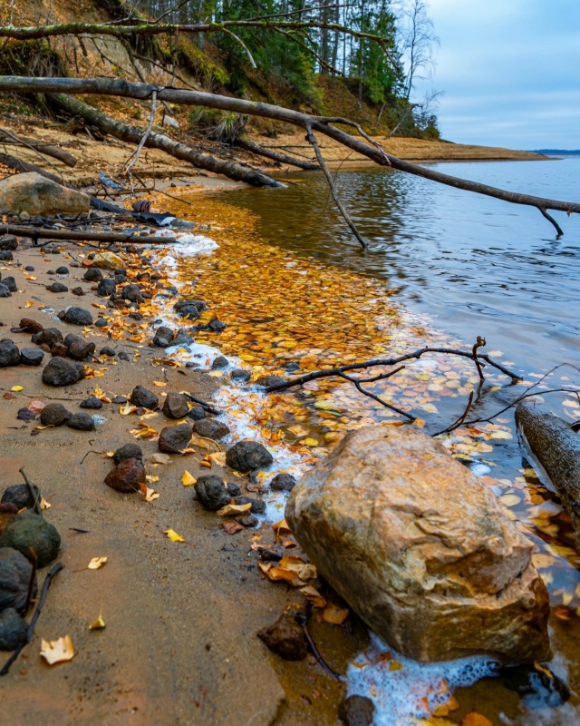 Красота осенней природы ❤ Рыбинский район, Селехово ?...