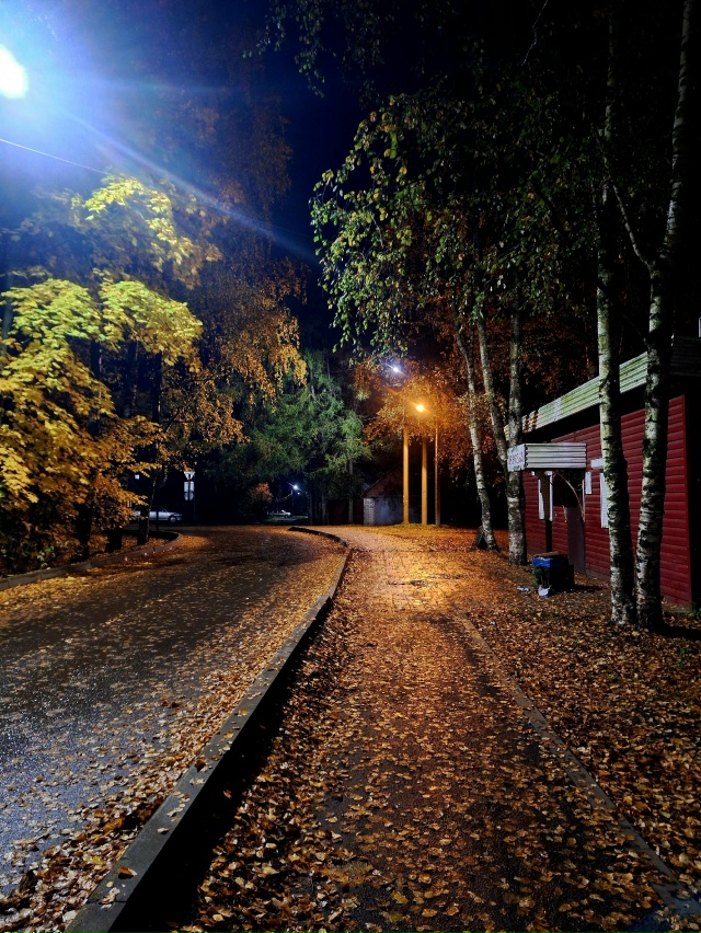 ✨️Моменты осени🍂 город Родники✨️🍁