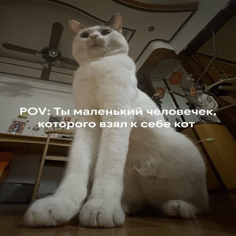 Утренняя подборочка